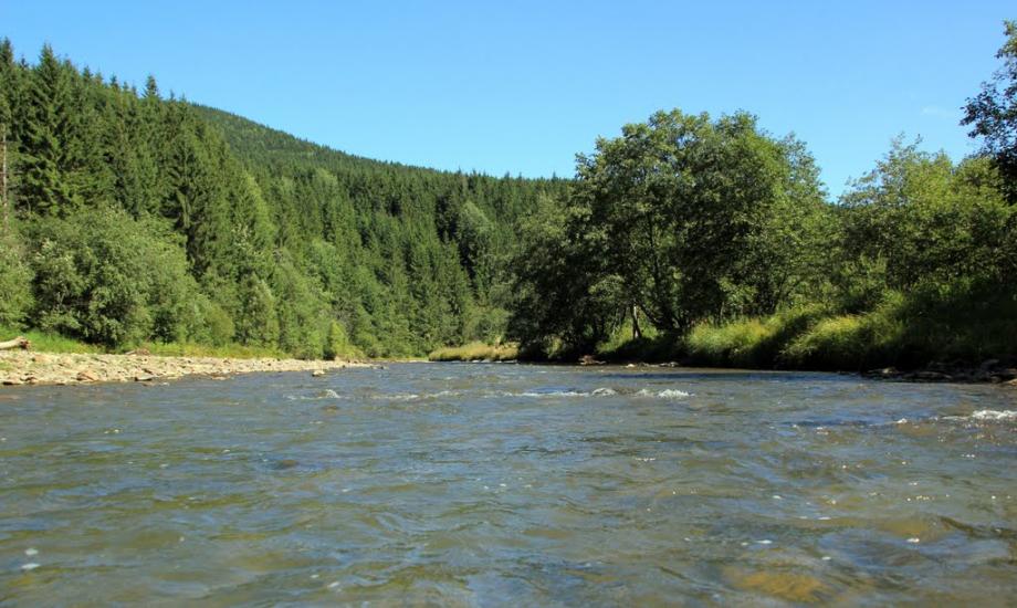 Вишків з panoramio.com - Vyshkiv