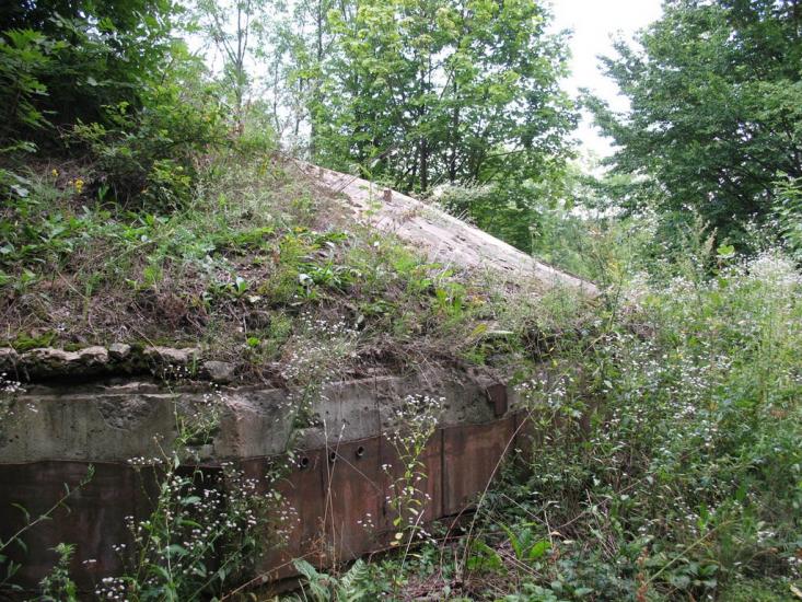 Дзензелівка з panoramio.com - Дзензелівка