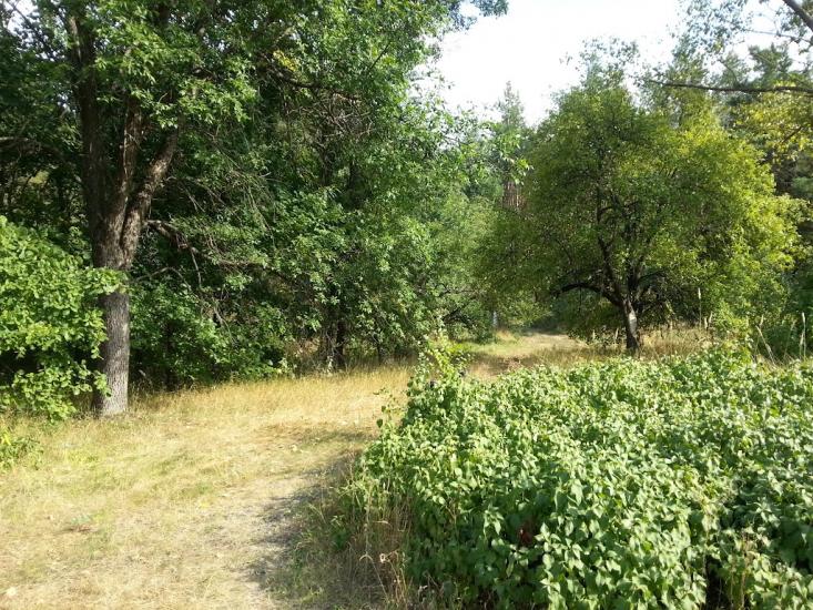 Княжичі з panoramio.com - Княжичи