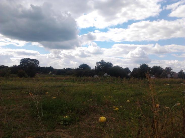 Березань з panoramio.com - Березань