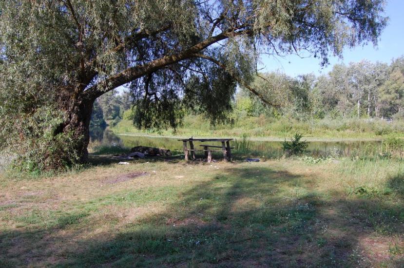 Бірки з panoramio.com - Борки