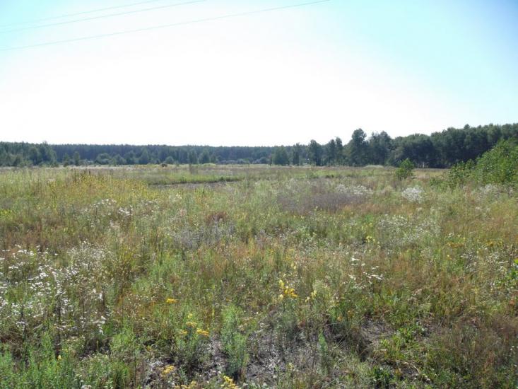 Ялцівка з panoramio.com - Ялцовка