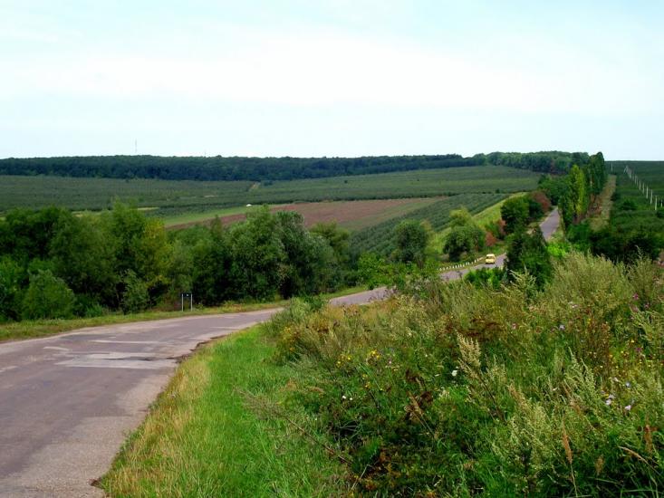 Садківці з panoramio.com - Садківці
