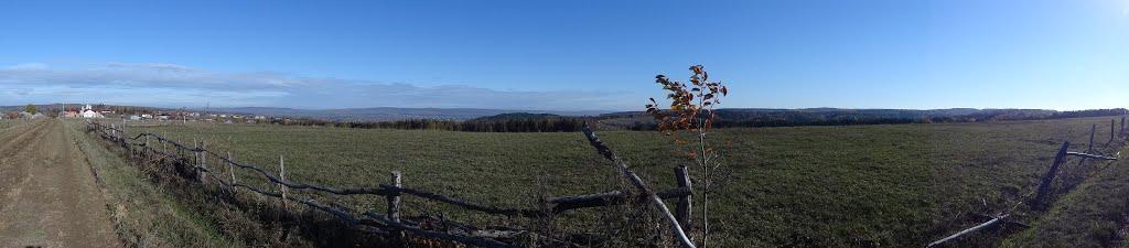 Купка з panoramio.com - Купка