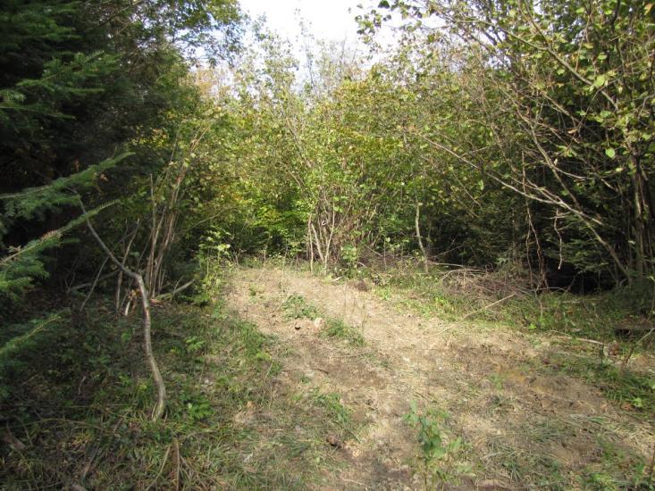 Опака з panoramio.com - Opaka