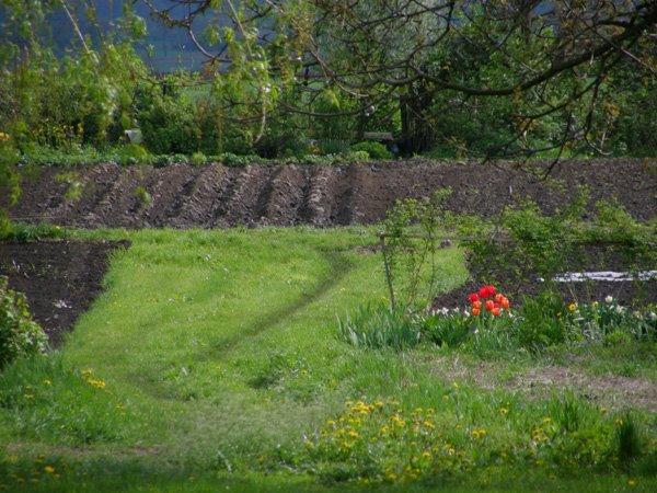 Угнів з panoramio.com - Угнів