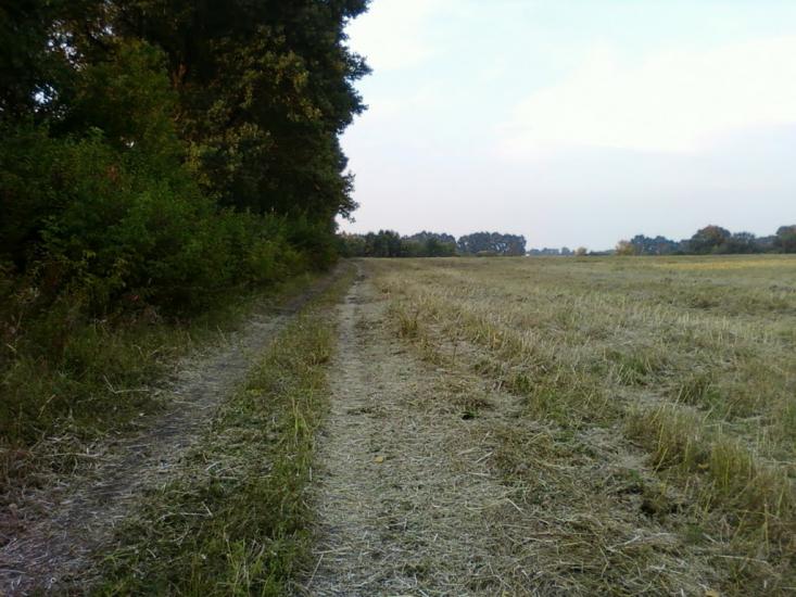 Рівнинне з panoramio.com - Рівнинне