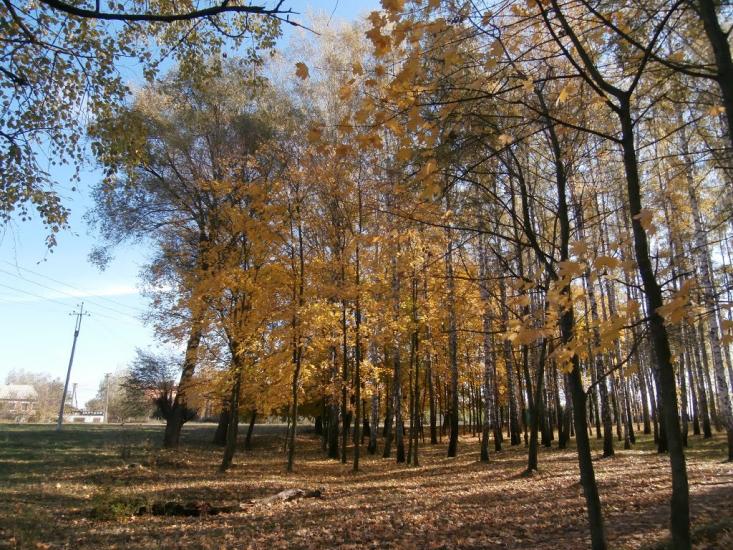 Плавинище з panoramio.com - Плавинище