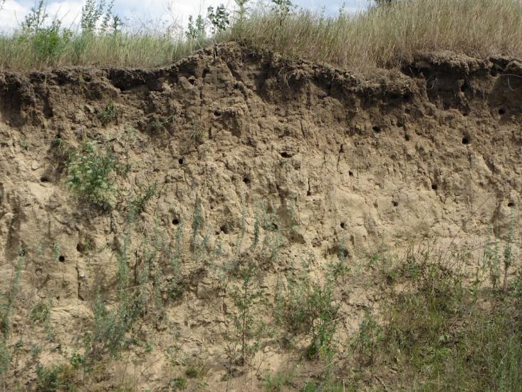 Попівка з panoramio.com - Попівка