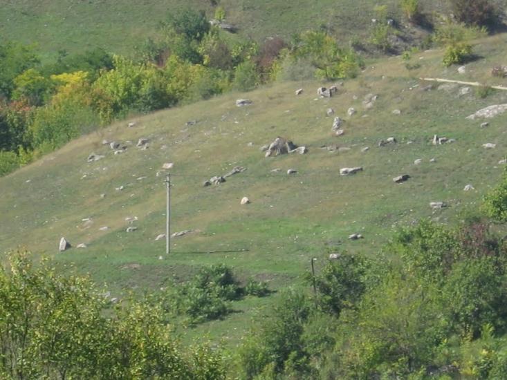 Шершенці з panoramio.com - Shershentsi