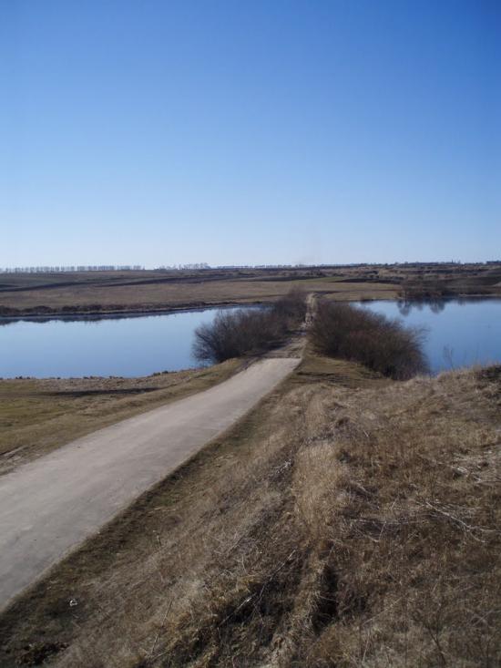 Рогізне з panoramio.com - Рогозное