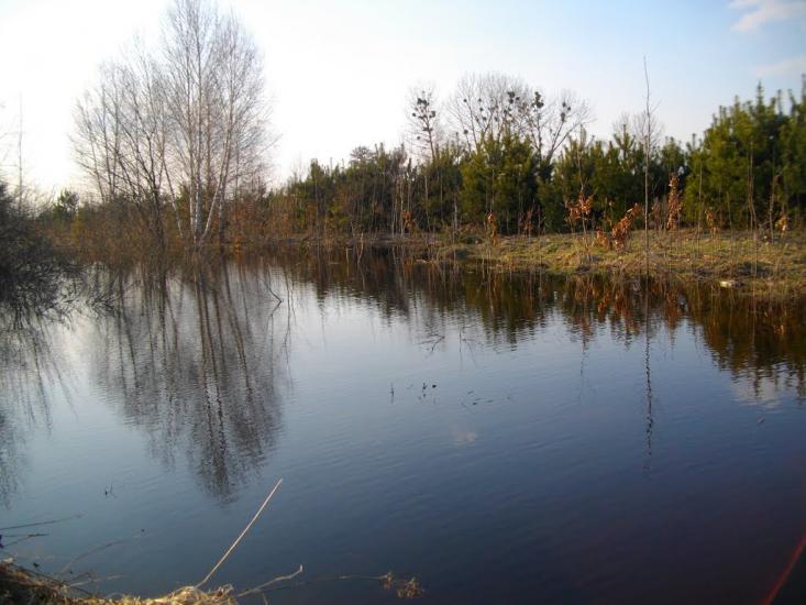 Озеро з panoramio.com - Озеро