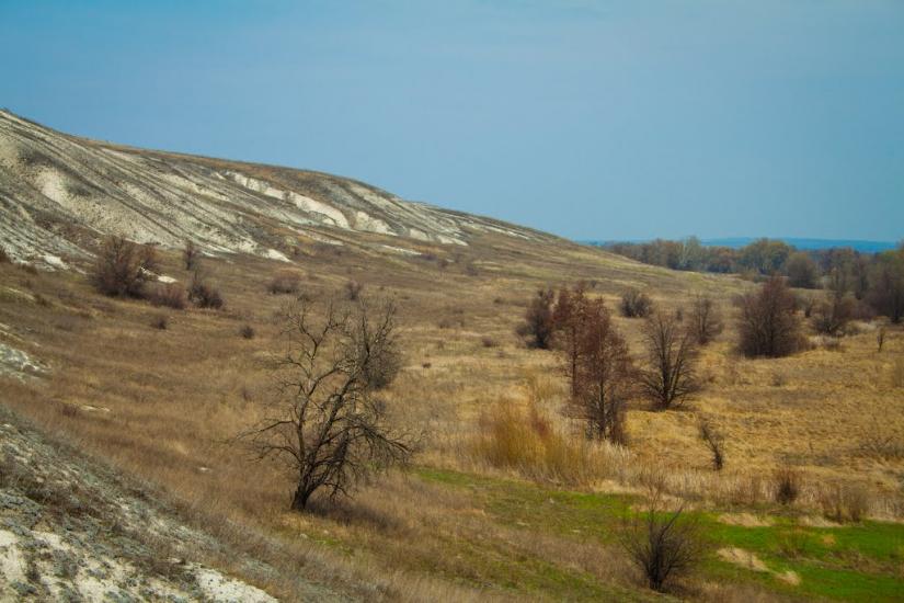 Петро-Іванівка з panoramio.com - Petro-Ivanivka