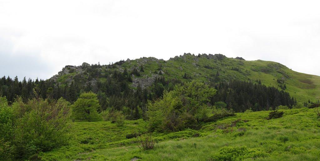 Біласовиця з panoramio.com - Bilasovytsya