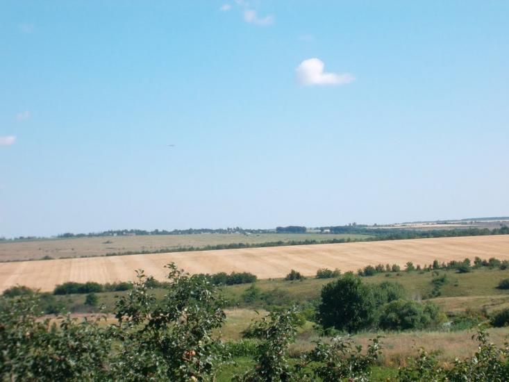 Польове з panoramio.com - Полевое