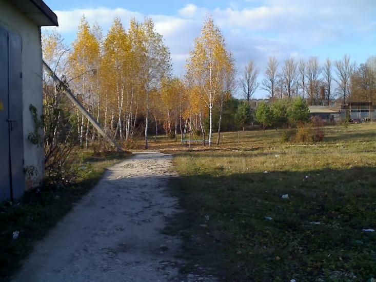Великі Бірки з panoramio.com - Великие Борки