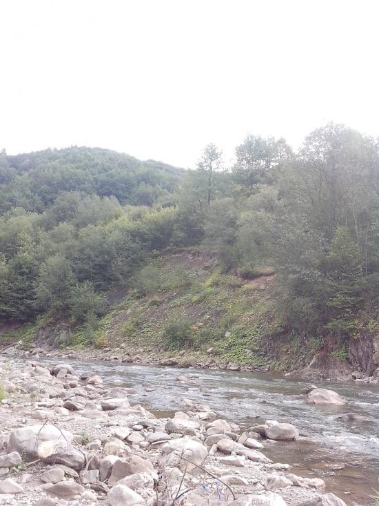 Кваси з panoramio.com - Квасы