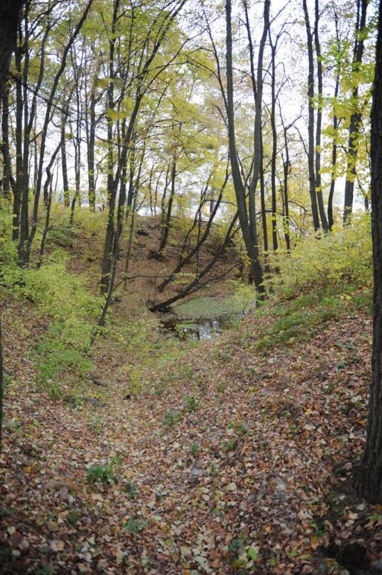 Хлерівка з panoramio.com - Khlerivka
