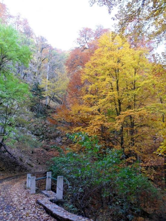 Підгородне з panoramio.com - Подгороднее