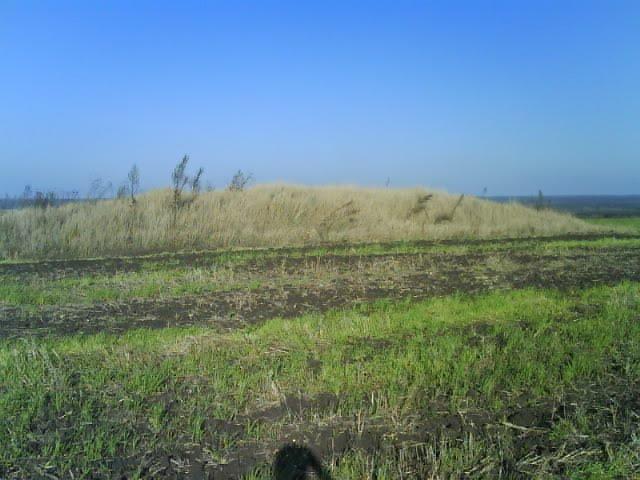 Федорівка з panoramio.com - Федорівка