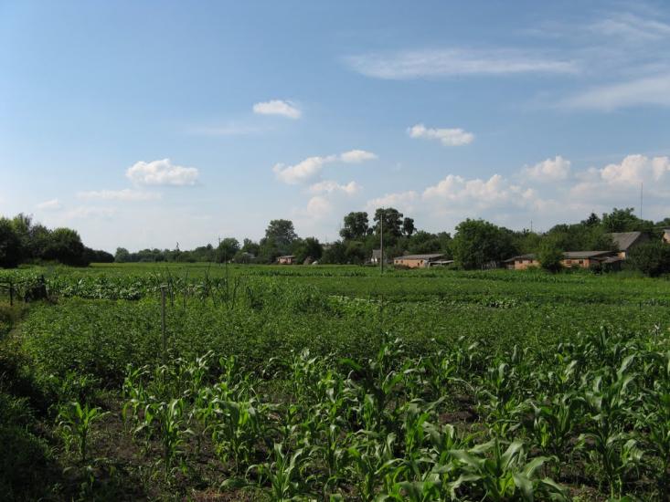 Яхни з panoramio.com - Яхни