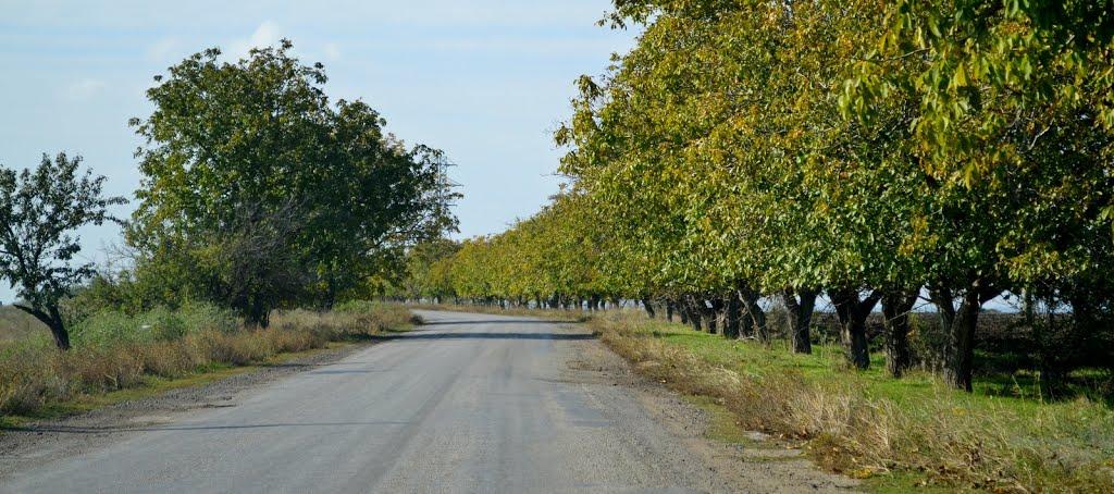 Роздільна з panoramio.com - Раздельная