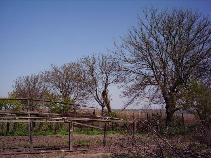 Комишівка з panoramio.com - Камышовка