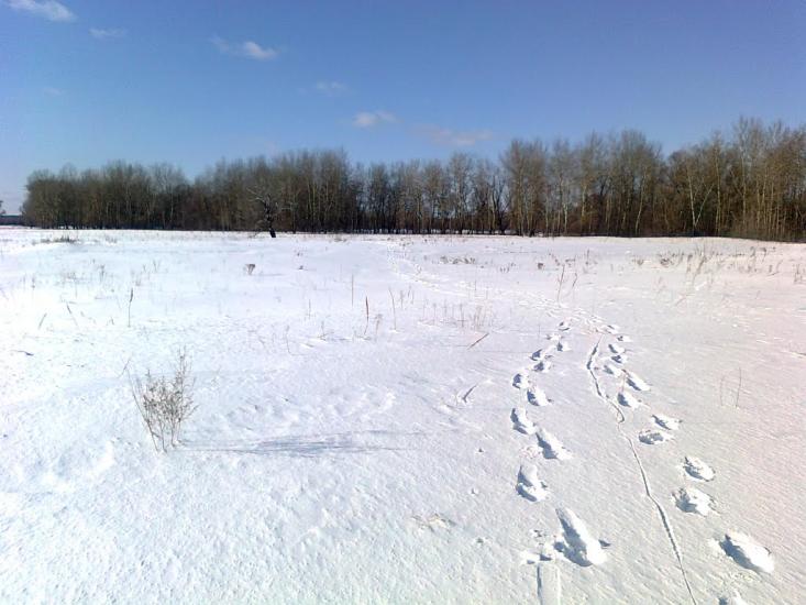 Оболоння з panoramio.com - Оболонье