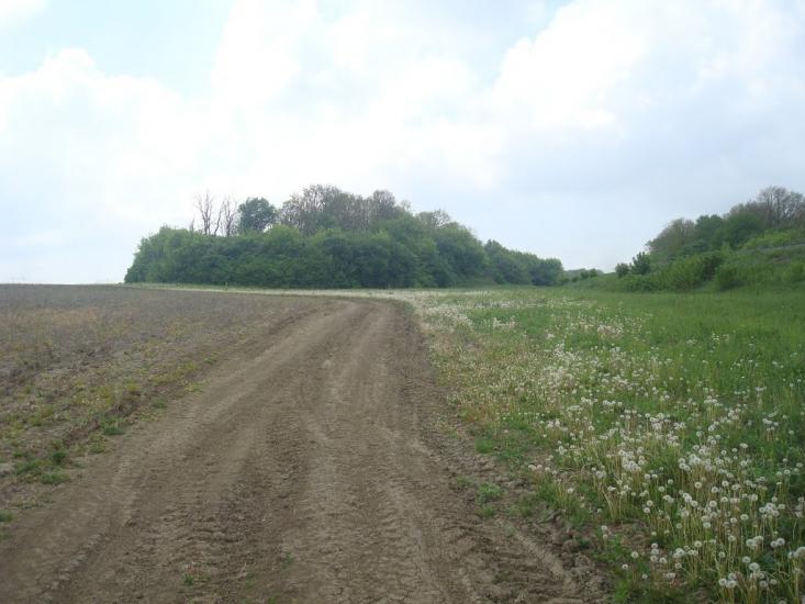 Зеленче з panoramio.com - Зеленче