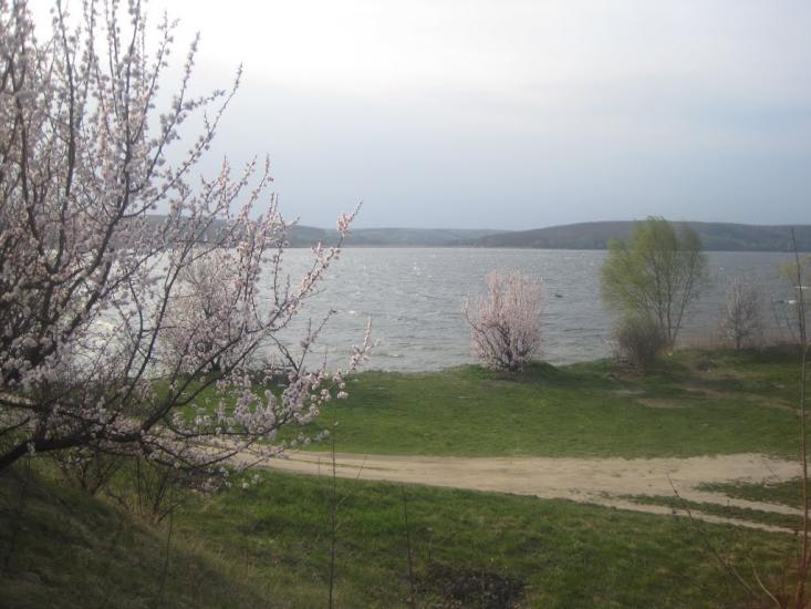 Гороховатка з panoramio.com - Gorokhovatka