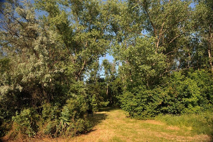 Олександро-Калинове з panoramio.com - Oleksandro-Kalynove