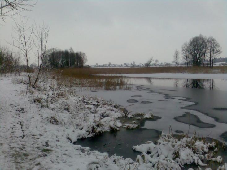 Радивилів з panoramio.com - Радивилов