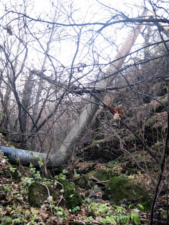 Картушине з panoramio.com - Картушино