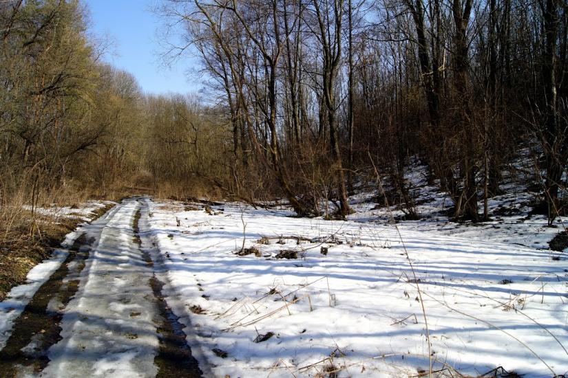 Великі Бірки з panoramio.com - Великие Борки