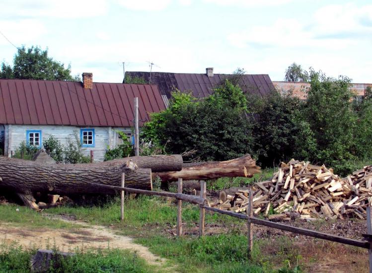 Більська Воля з panoramio.com - Більська Воля