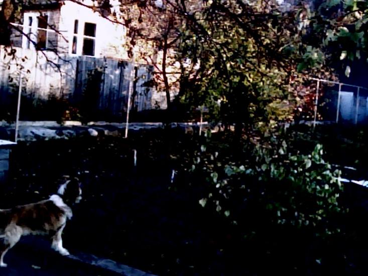 Високий з panoramio.com - Високий