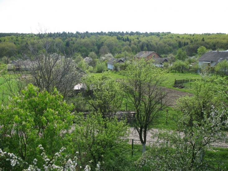 Рибне з panoramio.com - Rybne