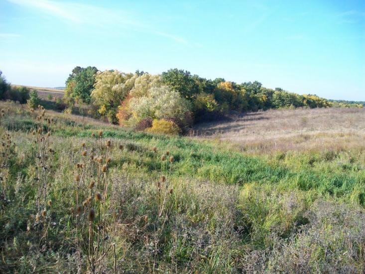 Острівчани з panoramio.com - Островчаны