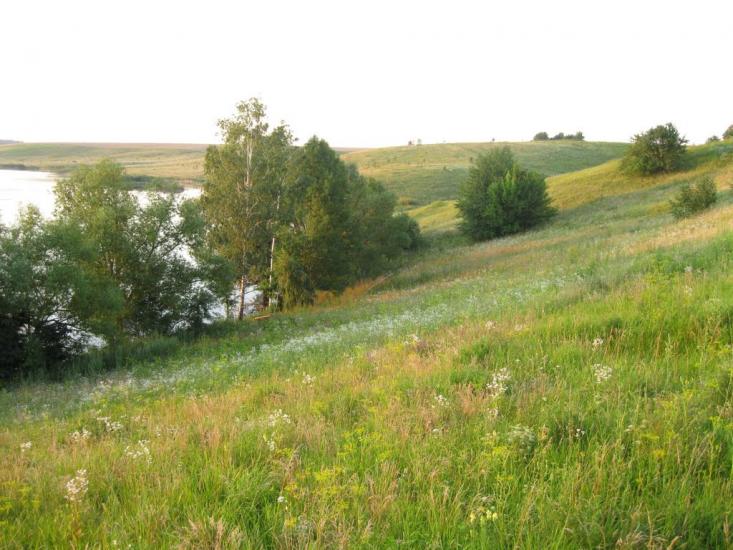 Старостинці з panoramio.com - Старостинці