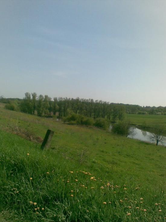 Ковалівка з panoramio.com - Ковалівка