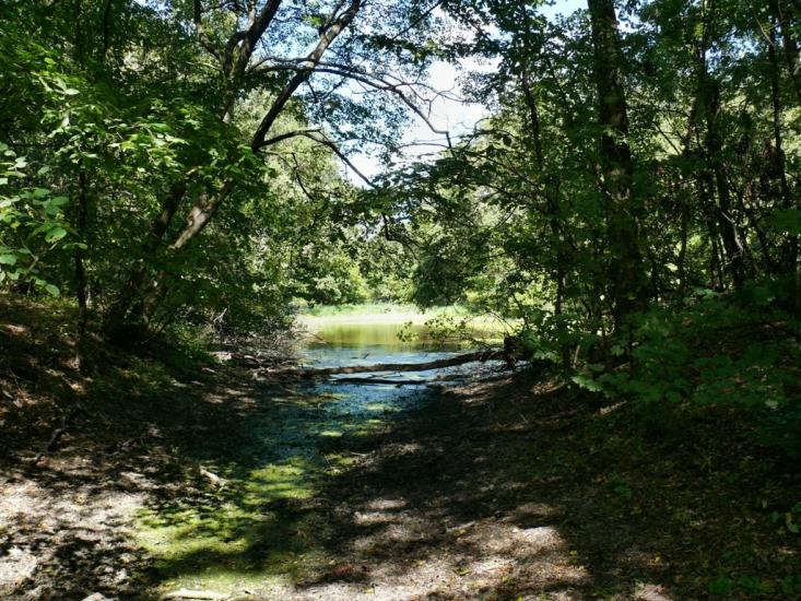 Черкаське з panoramio.com - Черкаське