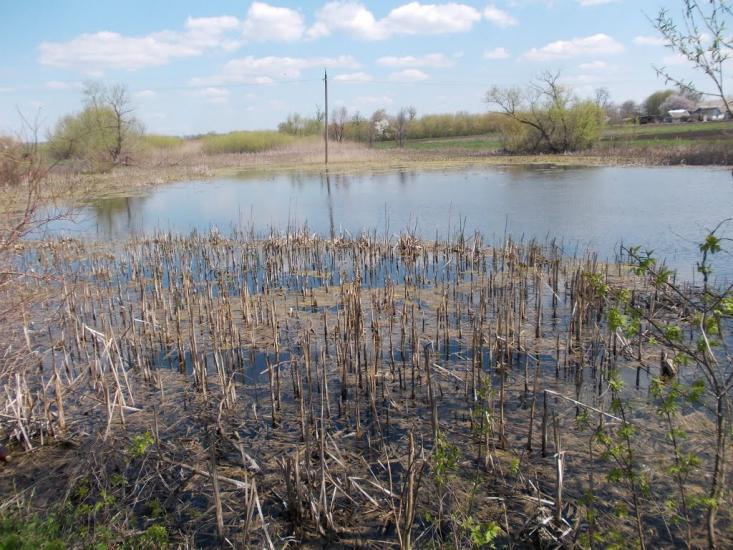 Червоний Орлик з panoramio.com - Червоний Орлик