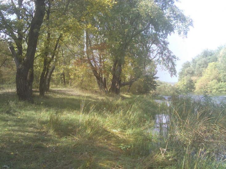 Гаївське з panoramio.com - Гаївське