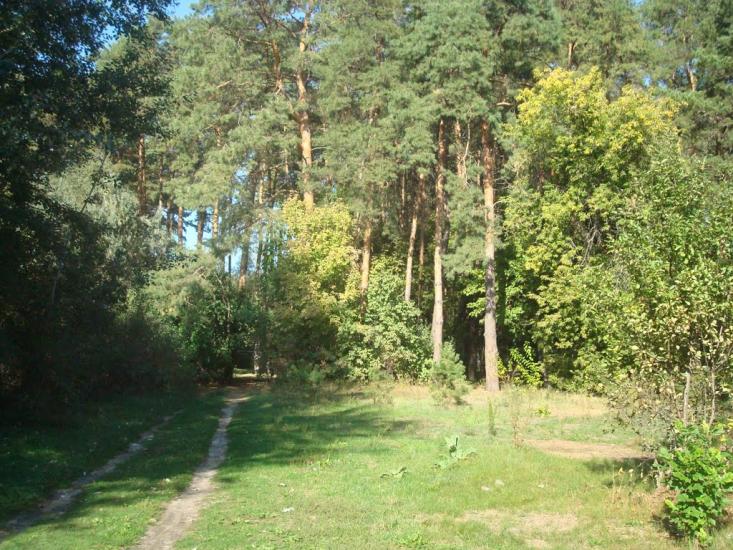 Підлиман з panoramio.com - Подлиман