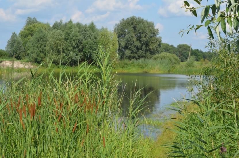 Сезенків з panoramio.com - Сезенков