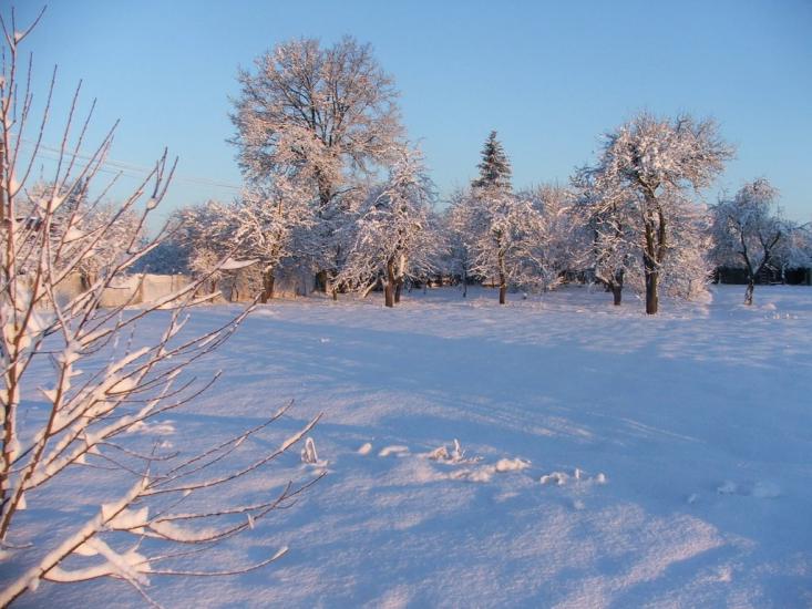 Сираї з panoramio.com - Сираї