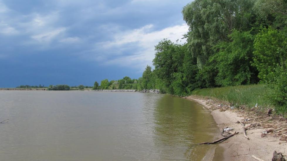 Пронозівка з panoramio.com - Пронозівка