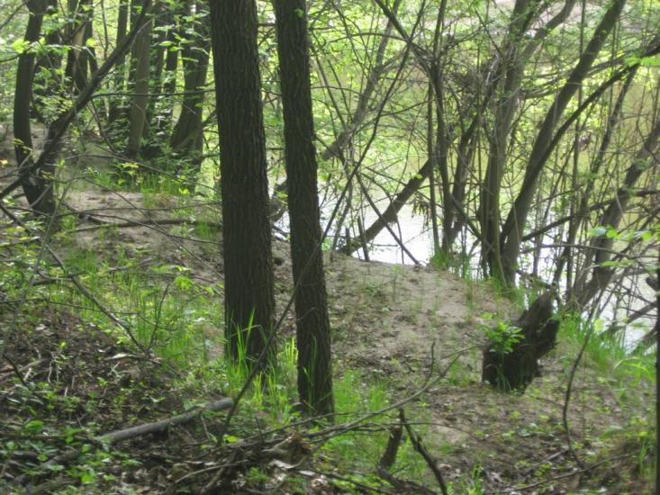 Гранітне з panoramio.com - Гранитное
