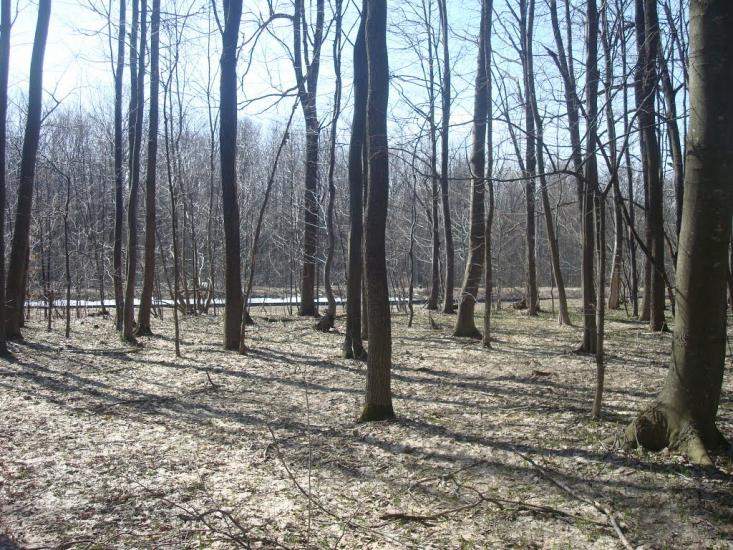 Новий Майдан з panoramio.com - Новий Майдан