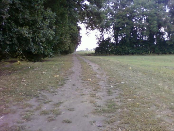 Рівнинне з panoramio.com - Рівнинне